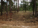 photo thumbnail #10