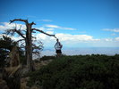 photo thumbnail #14