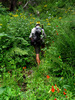photo thumbnail #5