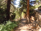 photo thumbnail #9