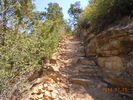 photo thumbnail #2