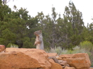 photo thumbnail #5