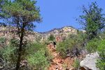 photo thumbnail #6