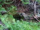 photo thumbnail #8