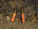 photo thumbnail #10
