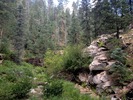 photo thumbnail #6