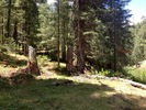 photo thumbnail #10