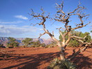 photo thumbnail #8
