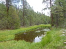 photo thumbnail #9