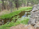 photo thumbnail #10