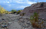photo thumbnail #3