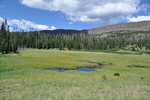photo thumbnail #11