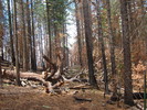 photo thumbnail #7