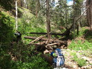 photo thumbnail #10