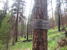 photo thumbnail #11