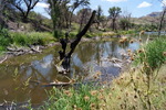 photo thumbnail #4