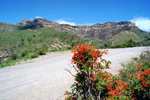 photo thumbnail #9