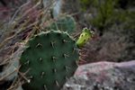 photo thumbnail #5