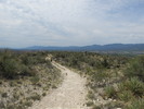 photo thumbnail #7