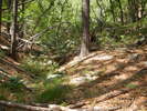 photo thumbnail #11