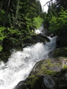 photo thumbnail #12