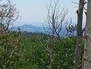 photo thumbnail #15