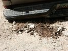 photo thumbnail #3