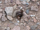 photo thumbnail #11