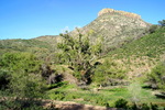 photo thumbnail #12