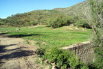 photo thumbnail #11