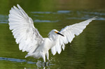 photo thumbnail #11