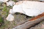 photo thumbnail #7