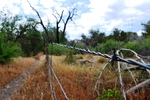 photo thumbnail #2
