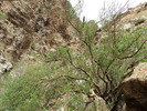 photo thumbnail #12
