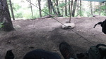 photo thumbnail #3