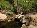 photo thumbnail #7
