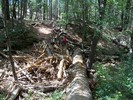 photo thumbnail #4