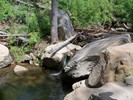 photo thumbnail #5