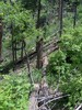 photo thumbnail #7