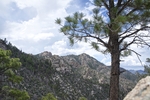 photo thumbnail #2