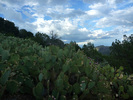 photo thumbnail #14