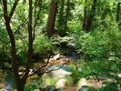 photo thumbnail #10