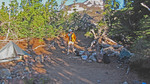 photo thumbnail #3
