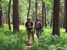 photo thumbnail #5