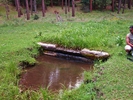 photo thumbnail #9