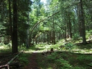photo thumbnail #11