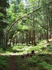 photo thumbnail #12