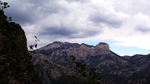 photo thumbnail #12