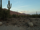 photo thumbnail #1