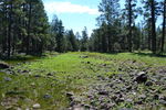 photo thumbnail #1